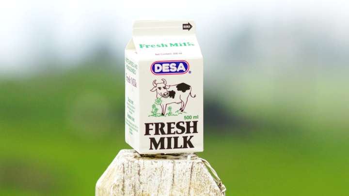 The Crafty Way To Upcycle An Empty Mini Milk Carton Into An Adorable Vase