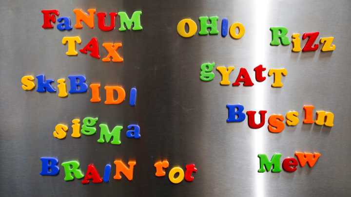 Internet slang words added to Cambridge Dictionary. See list.