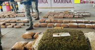 Marina asegura más de 330 kg de marihuana en el puerto de Veracruz