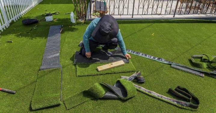 Fake grass is greener but is it worse for the environment? Florida a new testing ground