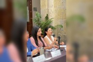 Diputada propone ampliar derecho a la lactancia materna