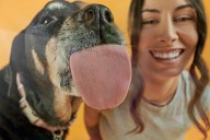 Una vida más larga para nuestras mascotas: conoce a Loyal, la startup de longevidad canina