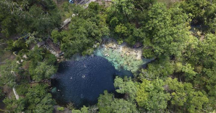 Florida's once-pristine springs threatened by pollution, development and climate change