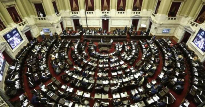 Diputados debate el veto de Milei a la ley de emergencia en Discapacidad