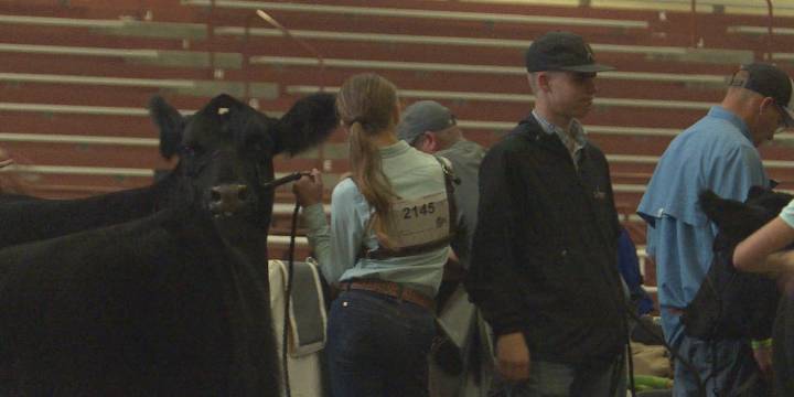 Nebraska State Fair celebrates ‘FFA Day’