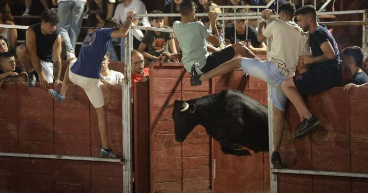 Finalizan antes de tiempo la capea de Carbajosa por varias cogidas de una vaquilla que saltó al callejón