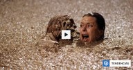 Confirman que esqueletos usados en mítica escena de Poltergeist eran reales: "Una verdadera pesadilla"