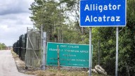 Jueza ordena desmantelar ‘Alligator Alcatraz’ por daño ambiental; ya no se permite llevar migrantes