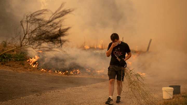 Incendios en España, en directo: focos activos, evacuados, heridos, hectáreas quemadas...