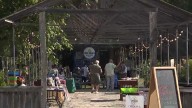 Kentucky tradition continues with the 50th annual Corn Island Storytelling Festival