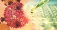 Ancient 'junk' DNA revealed as key players in human genome regulation