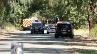 Branch that killed boy, 8, at Calabasas park fell from tree with known decay