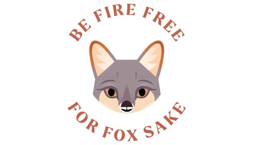 Catalina Island Conservancy launches new fire danger program — with an island fox mascot – Orange County Register