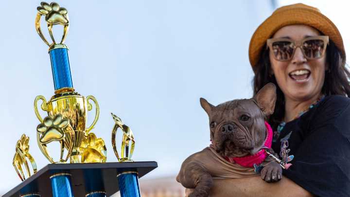 Meet Petunia: The 'World's Ugliest Dog'