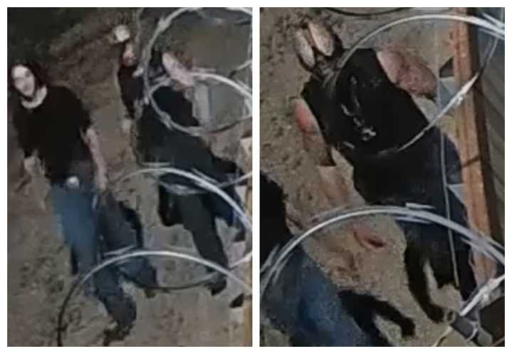TPD seeks help in identifying two people in homicide case