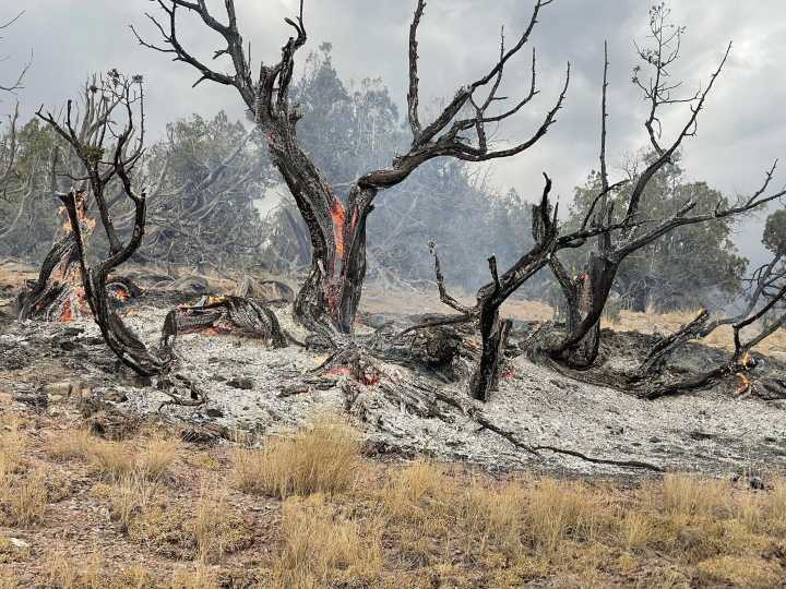 Lightning Strikes Cause 17 Wildfires In Moffat County  
