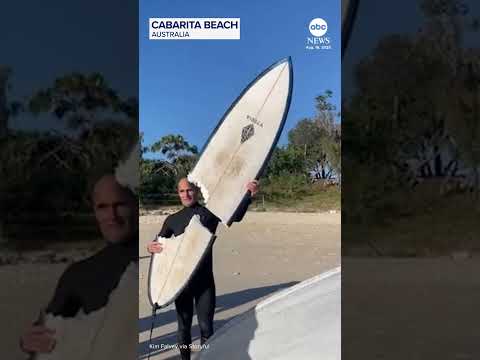 Shark takes big bite out of Australian surfer’s board