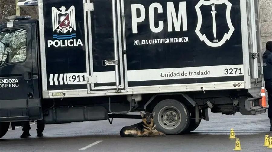 Murió atropellado el día de su cumpleaños y su perro se quedó a su lado: El conductor se fugó