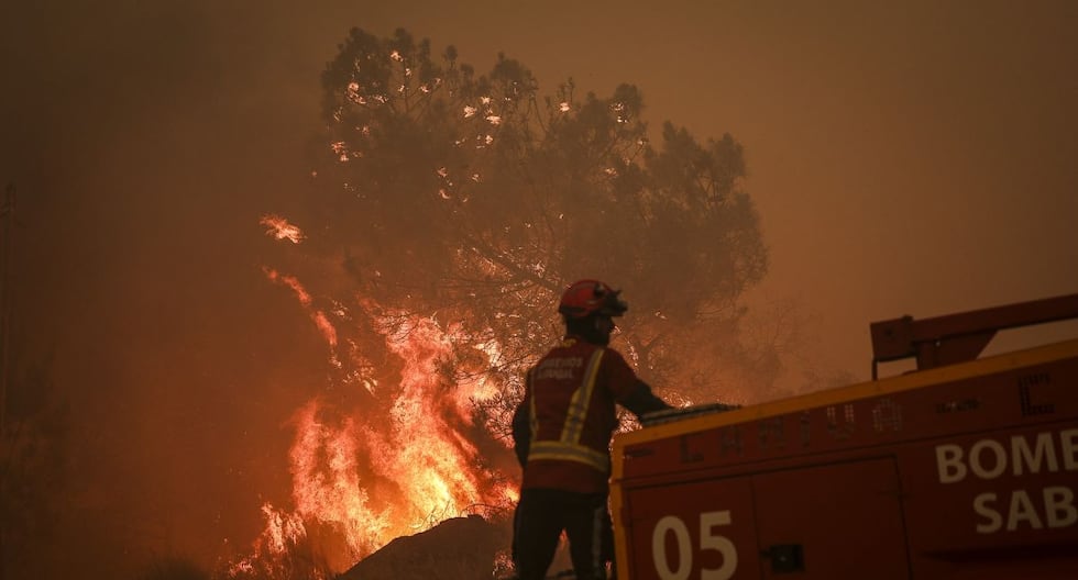 Portugal: Muere un bombero que combatía los incendios, cuarta víctima en el país 