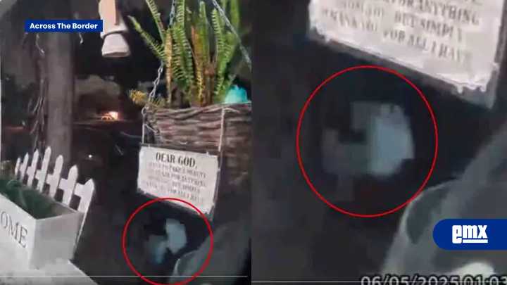 ‘Mamá, es un extraterrestre’ Mujer capta inquietante figura alienígena en su jardín