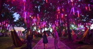 What to do in Philly this week