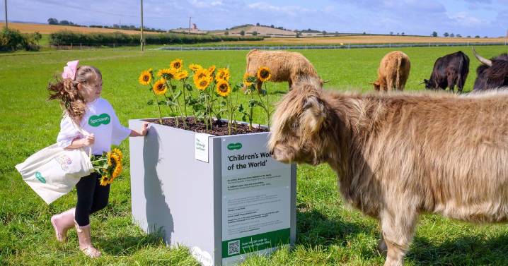 Children's 'wonders of the world' revealed - and they're not what you'd expect