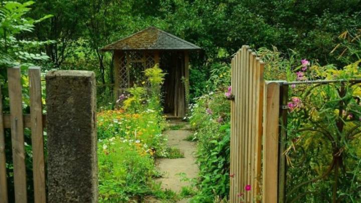 This Toronto-Area Shed Just Sold for $600,000 Over Asking Price