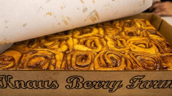 Knaus Berry Farm, home of famed cinnamon buns, to reopen at new Miami location