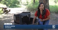 Never too early for wildfire prevention and mitigation
