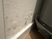 Oklahoma City woman says landlord ignoring mold infestation, threatened eviction after complaints