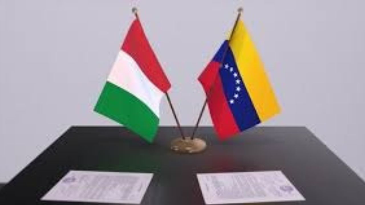 Italia reitera compromiso por la liberación de más detenidos en Venezuela
