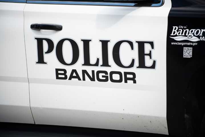 Maine man accused of punching dog says it attacked his service dog