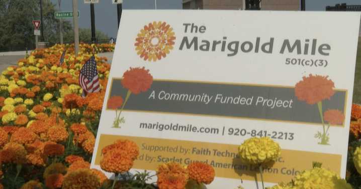 Marigold Mile expands from Appleton to Menasha after 35 years