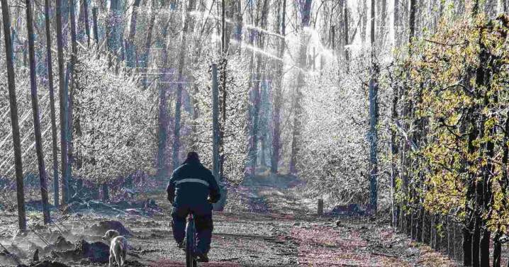 Pronóstico de heladas: ¿Qué se espera en Río Negro y Neuquén para la noche del 21 de agosto?
