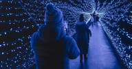 West Lothian Christmas lights event cancelled after storms push up insurance costs
