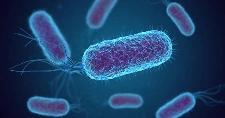 Bear River Health Department warns of rising E. Coli cases in Cache County