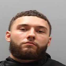 Deputies: Man arrested for attempted kidnapping, assault