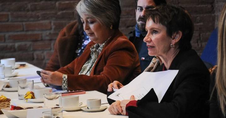 Oficialismo espera regreso de Carolina Tohá en campaña presidencial: tendría rol clave en seguridad y programa de gobierno
