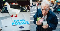 46 Striking Street Photos That Prove NYC Is A City Of Endless Stories Captured By Mathias Wasik