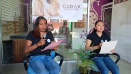 Activistas presentan iniciativa para garantizar la protección legal de los animales