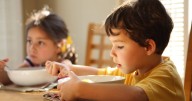 Dietitian shares one thing you should never do when your child refuses to eat