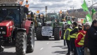 El pacto arancelario entre la UE y EE UU amenaza el 68% del comercio agroalimentario español, en riesgo por competencia desleal