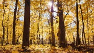 5 September activities with the Naperville Park District to kick off fall