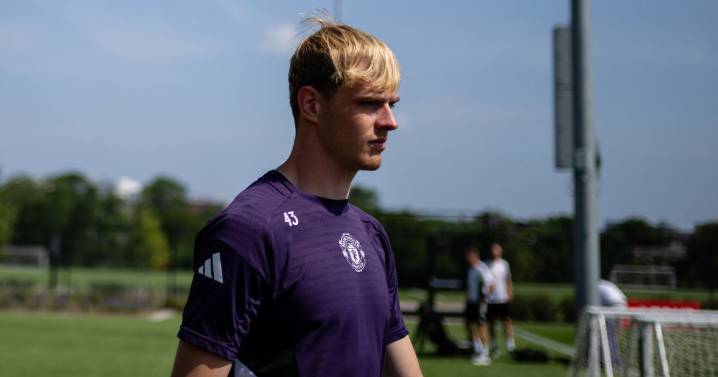 Two Manchester United transfers could be completed before the weekend