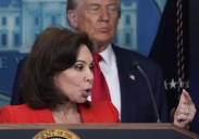 Prosecutors fail to indict sandwich thrower in Trump's Washington public safety operation