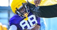Five players who have stood out through the first half of LSU's preseason practices