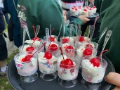 S.I. professionals are meeting over ice cream sundaes on Monday. Here’s why