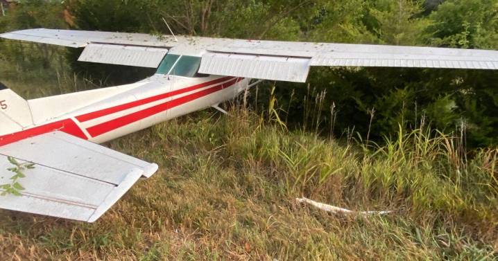 Plane crashes into tree after overrunning Douglas County runway