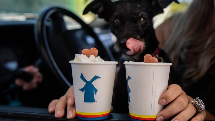Dutch Bros could soon open in a Chicago suburb
