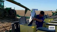 National Recognition: Oklahoma Student Named Finalist for Esteemed FFA Award
